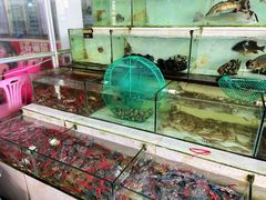 -绢姐海鲜大排档