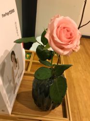 -FineYoga梵音瑜伽·普拉提