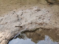 -碓臼峪自然风景区