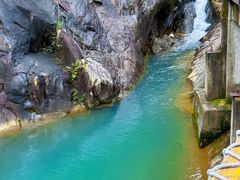 -广州白江湖森林公园