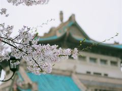 -武汉大学-樱园