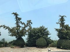-美味之家·湖景农家乐(太湖东山店)