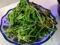 豆芽-心怡东北烤冷面(赤峰路店)