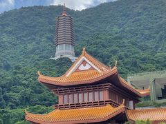 -深圳仙湖植物园