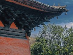 -善化寺