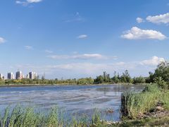 -永定河休闲森林公园