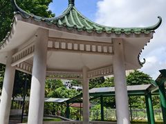 -石排湾郊野公园