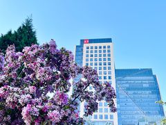 -海棠花溪(元大都城垣遗址公园)