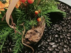 -同庆楼(奥体中心店)