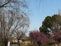 -长兴太湖图影湿地文化园