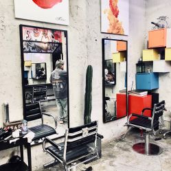 -SALON V
