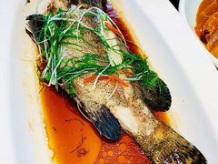 广式老虎斑-YUNHE秐合· 雅致浙宴(西溪店)