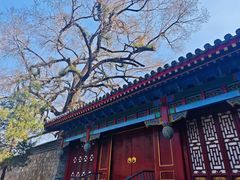 -承德避暑山庄景区