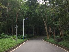 -火炉山森林公园