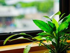 -品茗轩茶楼(江川路店)