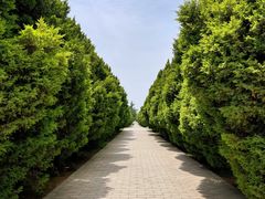 -秦始皇帝陵博物院-丽山园