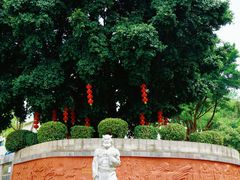 -广州神农草堂中医药博物馆
