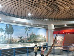 -国家自然博物馆