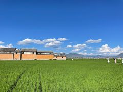 -喜林苑·稻田餐厅(品相府店)