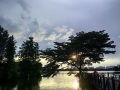 -海珠湖公园