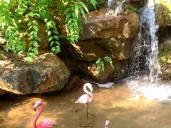 -广州锦绣香江度假别墅