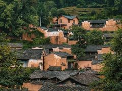 -杨家堂村