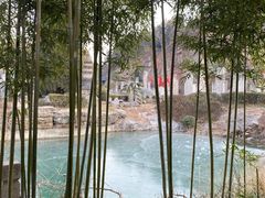 -徐州龟山景区