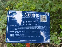 -广西壮族自治区药用植物园