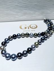 -GiO挚澳珠宝(侨福芳草地店)