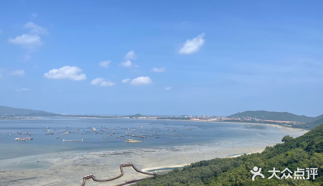 慵懒的一天～呆呆岛