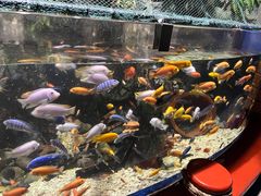 -太平洋海底世界