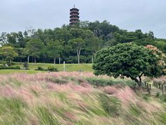 -红花山公园
