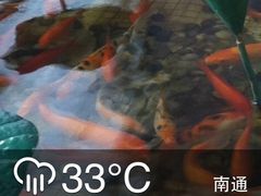 大堂-南通大饭店(老楼)