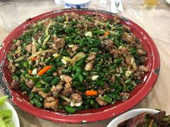-东吴霸王兔(松青路店)