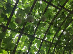 -白渔泡湿地公园