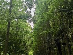 -同里国家湿地公园