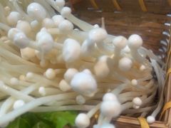 -老员外骨汤火锅(海州古城店)