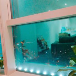 -MJ skin care国际皮肤管理中心