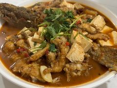 -煲来饱去冷水鱼