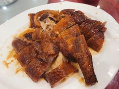 -姚林轩