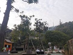 -三江森林温泉度假区