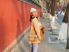 -北京国子监胡同