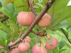 -中家鑫园温泉酒店鑫悦汤泉