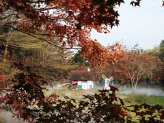 -田野绿世界