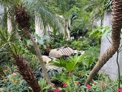 -深圳仙湖植物园