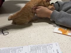-瑞鹏瑞爱宠物医院·全科·猫科·血液透析中心(龙头寺店)