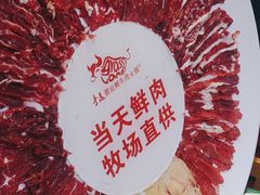 -手选潮汕鲜牛肉火锅(二七广场店)