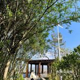 炮台湾公园 值得一去的沿江栈道