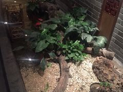 picture-青藤茶馆(南山路店)