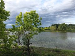 -东郊湿地公园